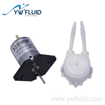 Low pressure electric DC mini water pump
